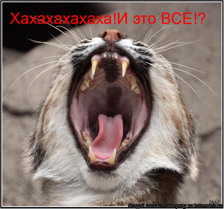 Котоматрица: Хахахахахаха!И это ВСЕ!?