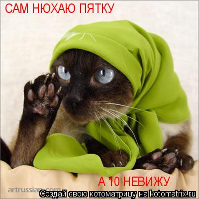 Котоматрица: САМ НЮХАЮ ПЯТКУ  А 10 НЕВИЖУ