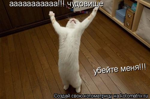 Котоматрица: ааааааааааа!!! чудовище убейте меня!!!