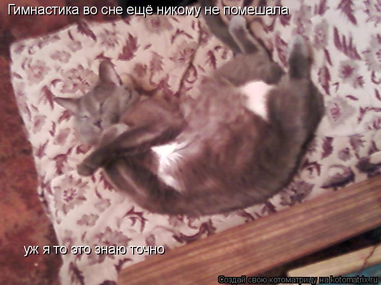 Котоматрица: Гимнастика во сне ещё никому не помешала уж я то это знаю точно
