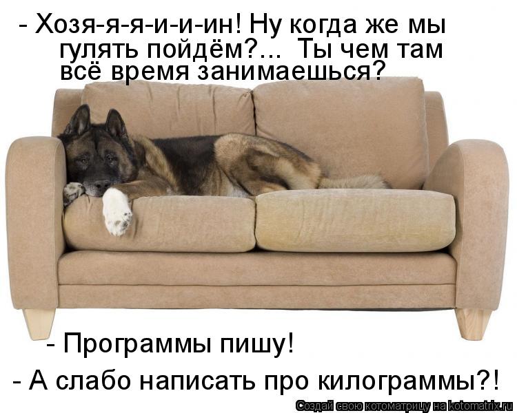 - Программы пишу! - А слабо написать про килограммы?! - Хозя-я-я-и-и-ин! Ну когда же мы всё время з... Котоматрица: - Программы пишу! - А слабо написать про килограммы?! - Хозя-я-я-и-и-ин! Ну когда же мы всё время занимаешься? гулять пойдём?... Ты чем там