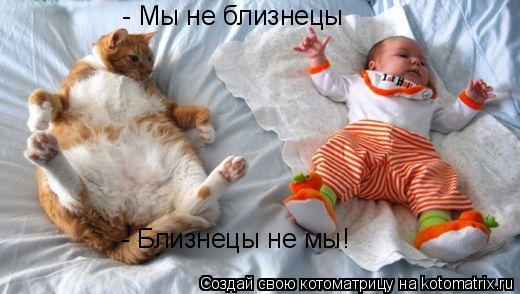 Котоматрица: - Мы не близнецы - Близнецы не мы!