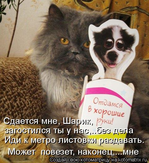Сдается мне, Шарик, загостился ты у нас,..без дела Иди к метро листовки раздавать. Можеь Может повез... Котоматрица: Сдается мне, Шарик, загостился ты у нас,..без дела Иди к метро листовки раздавать. Можеь Может повезет, наконец,...мне