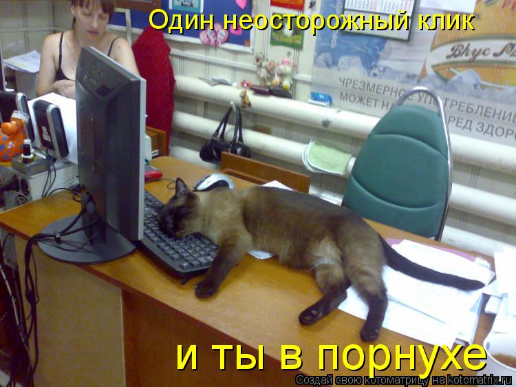 Котоматрица: Один неосторожный клик  и ты в порнухе