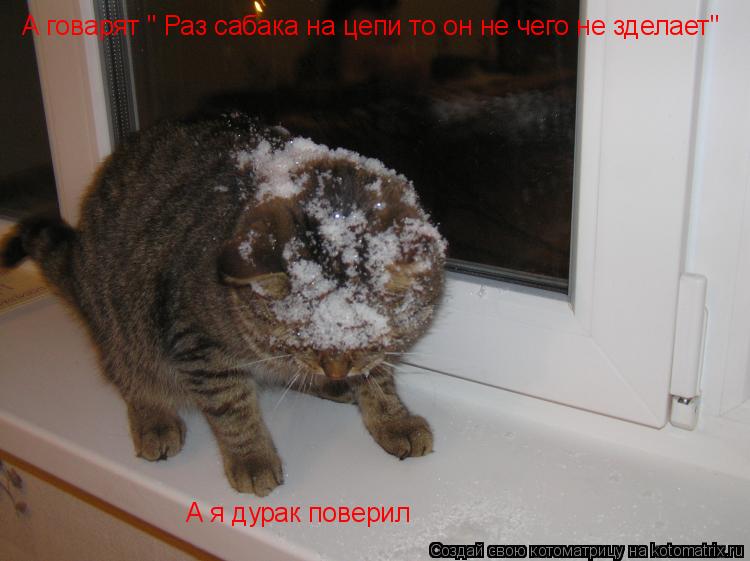 А говарят " Раз сабака на цепи то он не чего не зделает" А я дурак поверил... Котоматрица: А говарят " Раз сабака на цепи то он не чего не зделает" А я дурак поверил