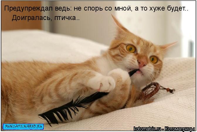 Предупреждал ведь: не спорь со мной, а то хуже будет.. Доигралась, птичка..... Котоматрица: Предупреждал ведь: не спорь со мной, а то хуже будет.. Доигралась, птичка..