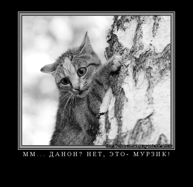 Котоматрица: М М . . .   Д А Н О Н ?   Н Е Т ,   Э Т О -   М У Р З И К ! 