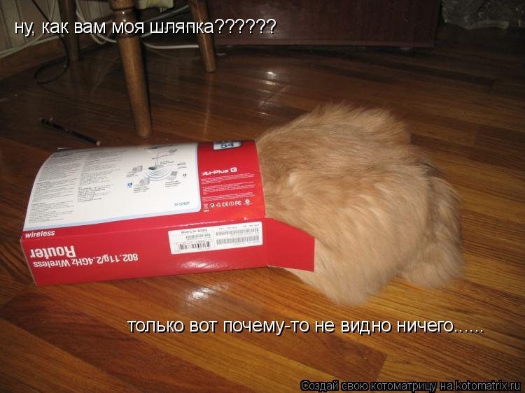 Котоматрица: ну, как вам моя шляпка?????? только вот почему-то не видно ничего......