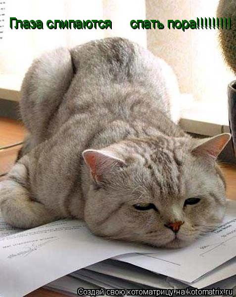 Котоматрица: Глаза слипаются     спать пора!!!!!!!!! Глаза слипаются     спать пора!!!!!!!!!
