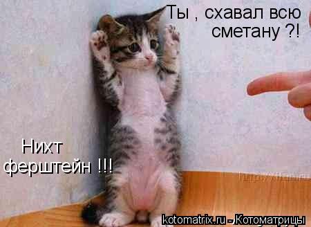 Котоматрица: Ты , схавал всю сметану ?! Нихт  ферштейн !!!
