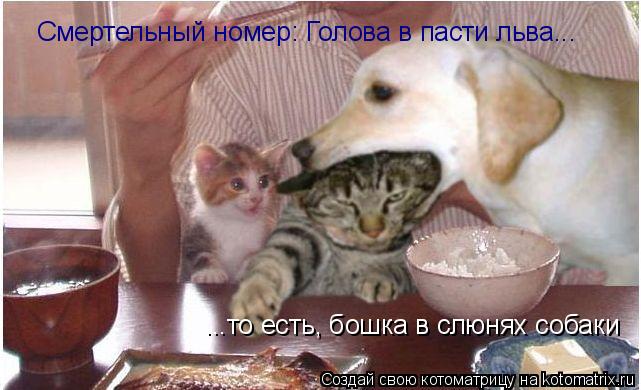 Смертельный номер: Голова в пасти льва... ...то есть, бошка в слюнях собаки... Котоматрица: Смертельный номер: Голова в пасти льва... ...то есть, бошка в слюнях собаки