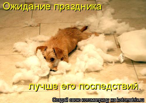 Котоматрица: Ожидание праздника  лучше его последствий.