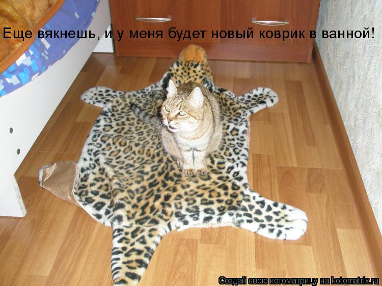 Котоматрица: Еще вякнешь, и у меня будет новый коврик в ванной!