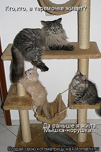 Котоматрица: Кто,кто, в теремочке живет? Да раньше я жила,  Мышка-норушка..