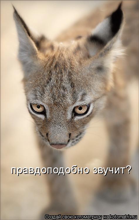 правдоподобно звучит?... Котоматрица: правдоподобно звучит?