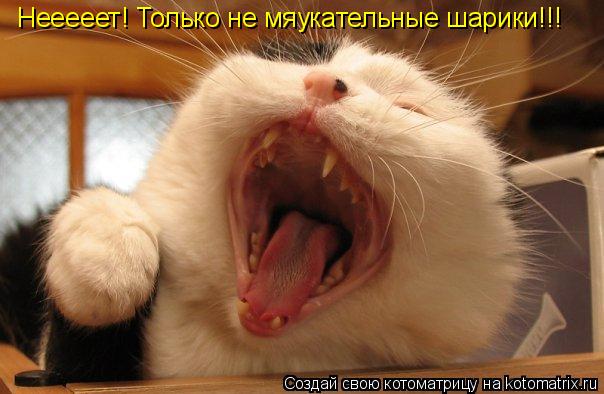 Нееееет! Только не мяукательные шарики!!!... Котоматрица: Нееееет! Только не мяукательные шарики!!!
