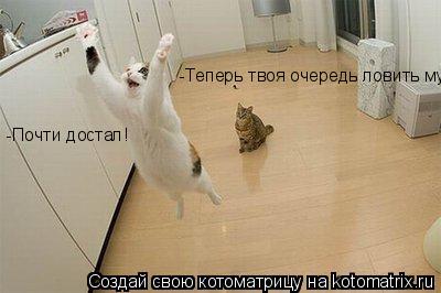 -Теперь твоя очередь ловить мух -Почти достал!... Котоматрица: -Теперь твоя очередь ловить мух -Почти достал!