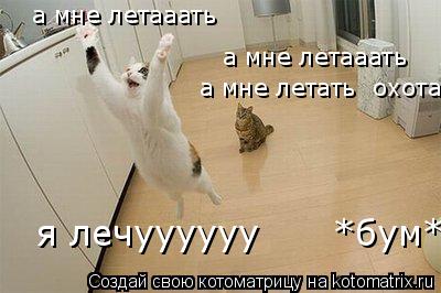 Котоматрица: а мне летааать  а мне летааать  а мне летать  охота! я лечуууууу      *бум*