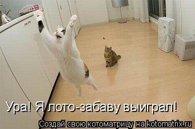 Ура! Я лото-забаву выиграл!... Котоматрица: Ура! Я лото-забаву выиграл!