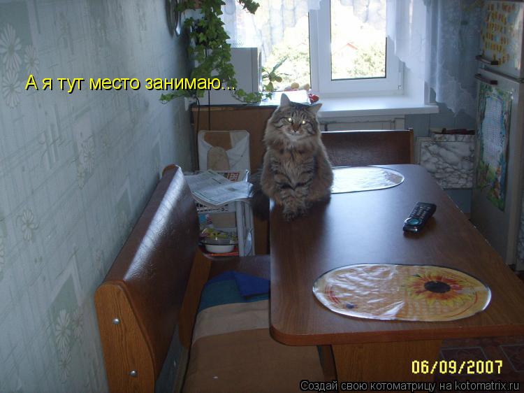 А я тут место занимаю...... Котоматрица: А я тут место занимаю...
