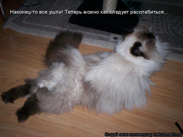 Наконец-то все ушли! Теперь можно как следует расслабиться...... Котоматрица: Наконец-то все ушли! Теперь можно как следует расслабиться...