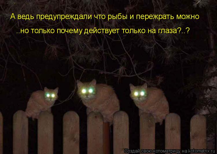 Котоматрица: А ведь предупреждали что рыбы и пережрать можно А ведь предупреждали что рыбы и пережрать можно ..но только почему действует только на глаз