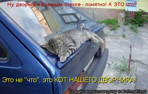 Котоматрица: Ну, дворник на заднем стекле - понятно! А ЭТО что? Это не "что", это КОТ НАШЕГО ДВОРНИКА!