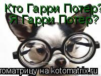 Котоматрица: Кто Гарри Потер?  Я Гарри Потер?