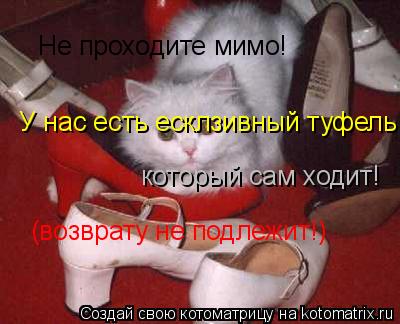 Котоматрица: У нас есть есклзивный туфель  Не проходите мимо! который сам ходит!  (возврату не подлежит!)