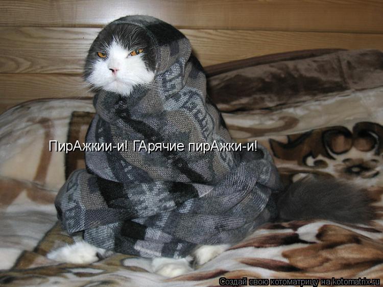 Котоматрица: ПирАжкии-и! ГАрячие пирАжки-и!
