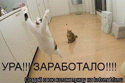 Котоматрица: УРА!!! ЗАРАБОТАЛО!!!!