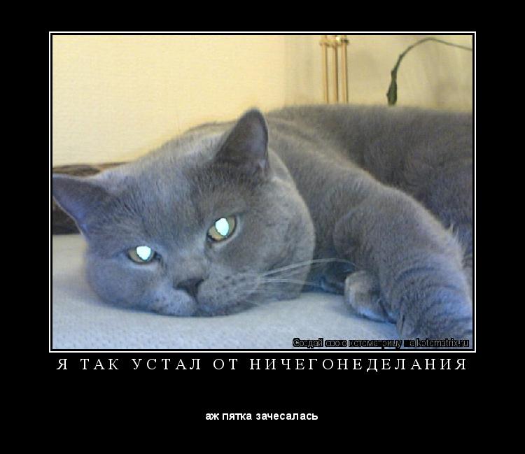 Котоматрица: Я   Т А К   У С Т А Л   О Т   Н И Ч Е Г О Н Е Д Е Л А Н И Я 