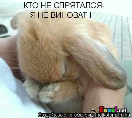 Котоматрица: ...КТО НЕ СПРЯТАЛСЯ- Я НЕ ВИНОВАТ !