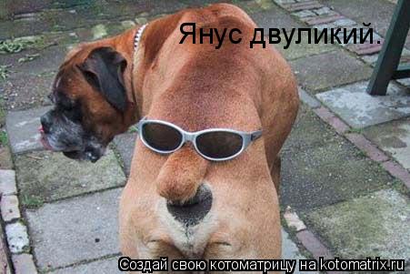 Янус двуликий.... Котоматрица: Янус двуликий.