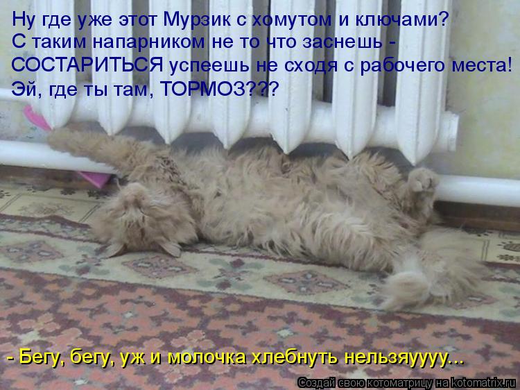 Котоматрица: Ну где уже этот Мурзик с хомутом и ключами? С таким напарником не то что заснешь - СОСТАРИТЬСЯ успеешь не сходя с рабочего места! Эй, где ты та