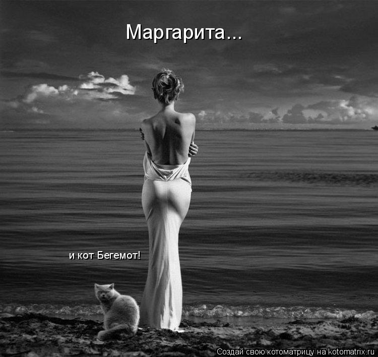 Маргарита... и кот Бегемот!... Котоматрица: Маргарита... и кот Бегемот!