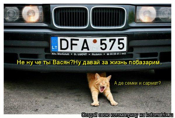 Котоматрица: Не ну че ты Васян?Ну давай за жизнь побазарим. А де семки и сармат?
