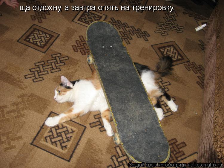 ща отдохну, а завтра опять на тренировку.... Котоматрица: ща отдохну, а завтра опять на тренировку.