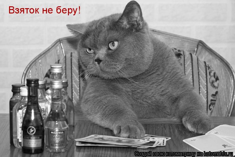 Котоматрица: Взяток не беру!