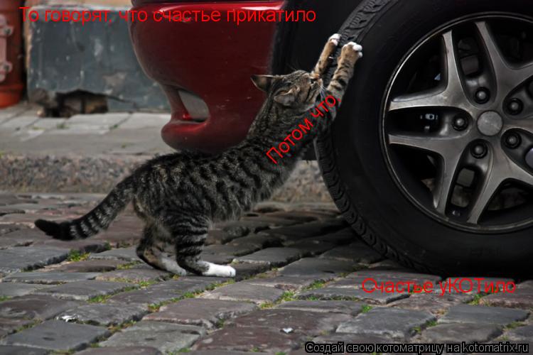 Счастье уКОТило То говорят То говорят, что счастье прикатило Потом что,... Котоматрица: Счастье уКОТило То говорят То говорят, что счастье прикатило Потом что,