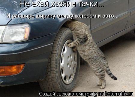 Котоматрица: Не ехай хозяин тачки...  И расширь ширину между колесом и авто...