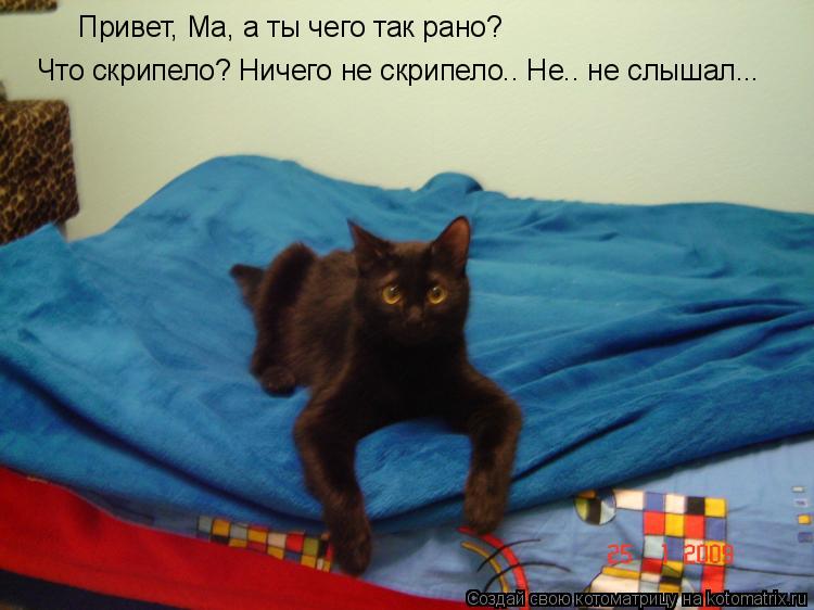Котоматрица: Привет, Ма, а ты чего так рано? Что скрипело? Ничего не скрипело.. Не.. не слышал...