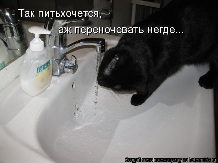 Котоматрица: - Так питьхочется, аж переночевать негде...