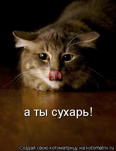 а ты сухарь!... Котоматрица: а ты сухарь!