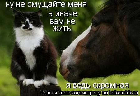 Котоматрица: ну не смущайте меня а иначе  вам не  жить я ведь скромная