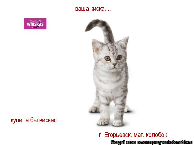 Котоматрица: ваша киска.... купила бы вискас г. Егорьевск. маг. колобок
