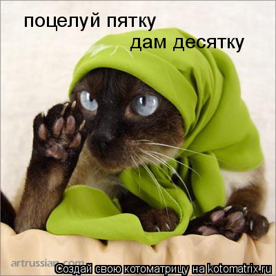 поцелуй пятку дам десятку... Котоматрица: поцелуй пятку дам десятку