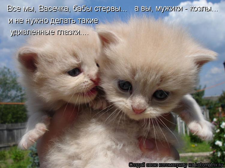 ВСЕ МЫ БАБЫ СТЕРВЫ РИНГТОН СКАЧАТЬ БЕСПЛАТНО ВСЕ МЫ БАБЫ СТЕРВЫ РИНГТОН СКАЧАТЬ БЕСПЛАТНО