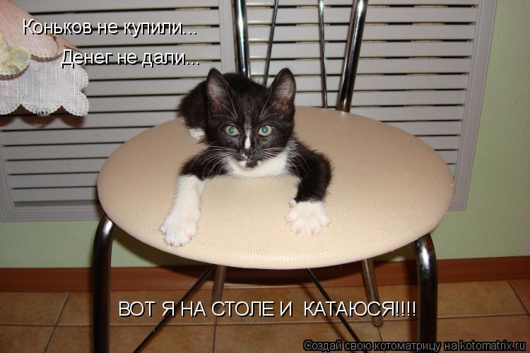 Котоматрица: Коньков не купили... Денег не дали... ВОТ Я НА СТОЛЕ И  КАТАЮСЯ!!!!