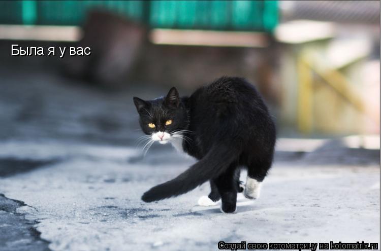 Была я у вас... Котоматрица: Была я у вас
